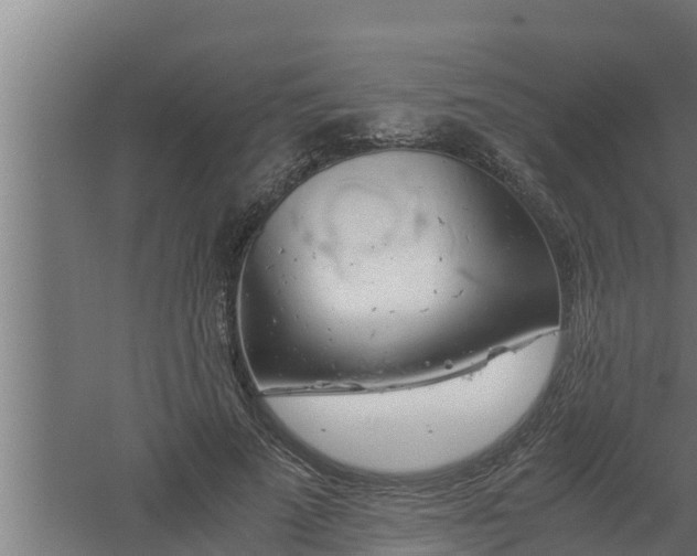 X0000061120689200511241710