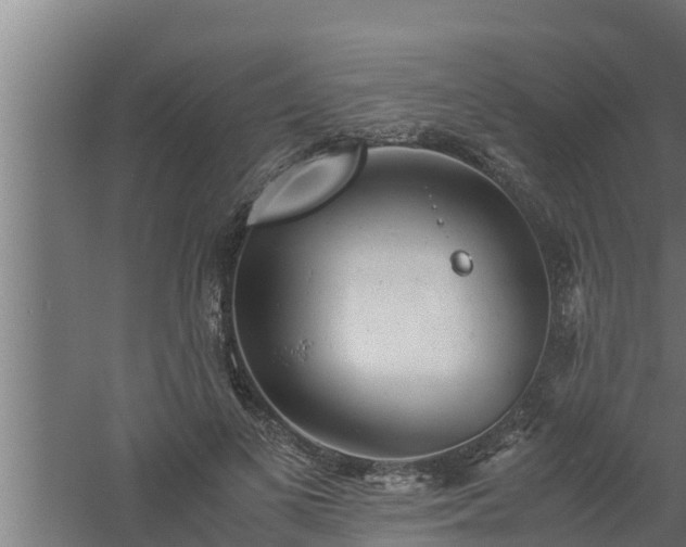 X0000061120693200511241710