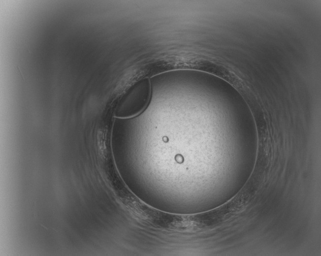 X0000061120695200511241710