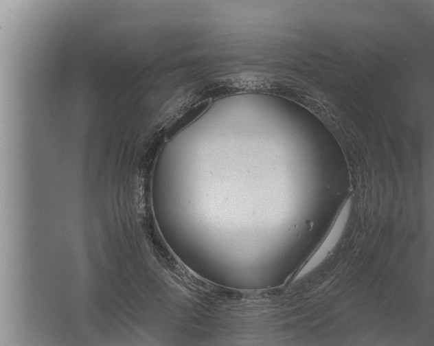 X0000061120696200511241710