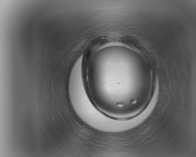 X0000061120697200511241710