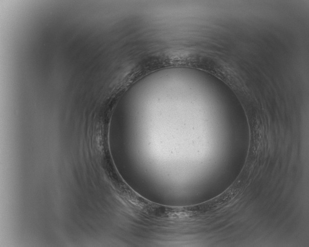 X0000061120698200511241710