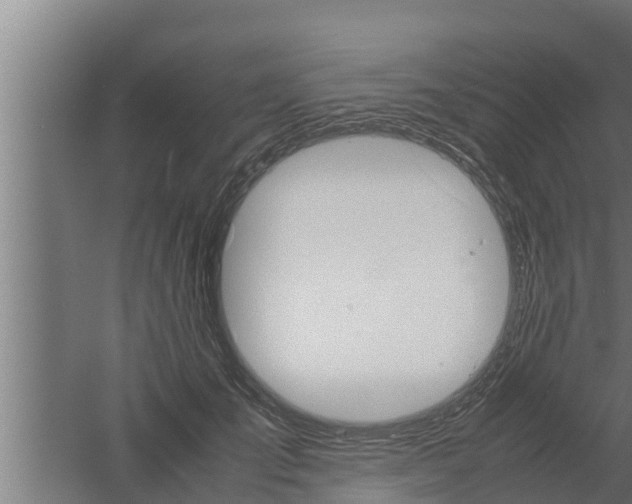 X0000061120701200511241710