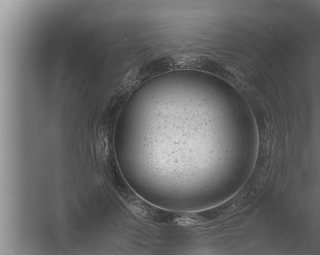 X0000061120703200511241710