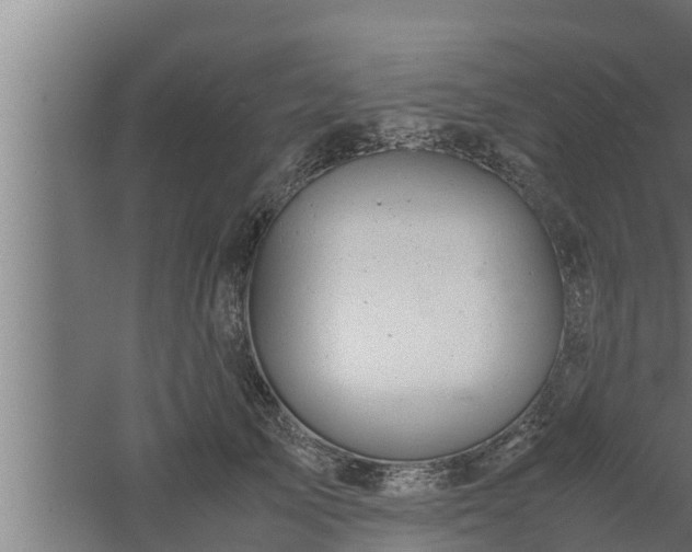 X0000061120705200511241710