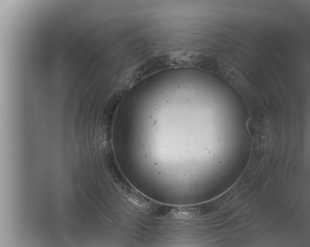 X0000061120706200511241710