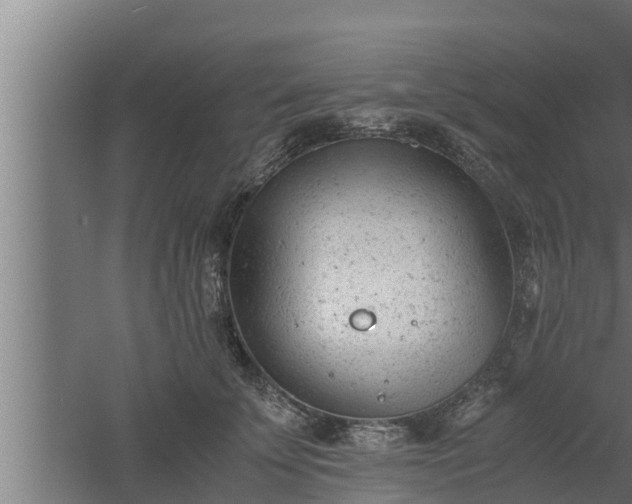 X0000061120707200511241710