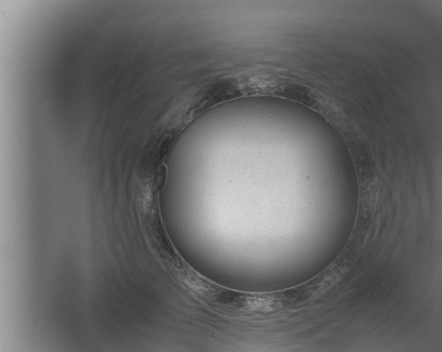 X0000061120709200511241710