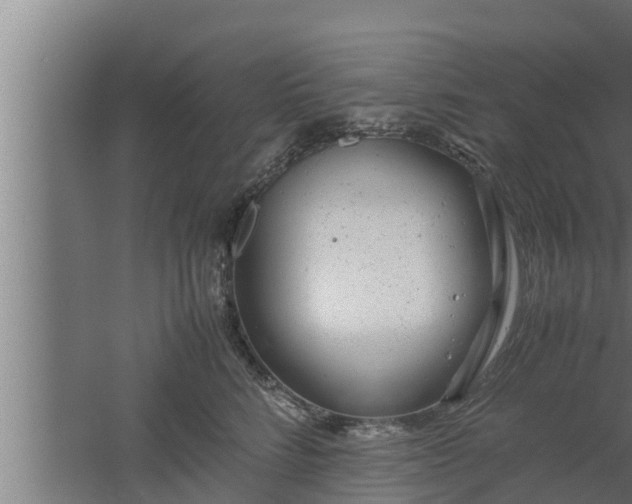 X0000061120712200511241710