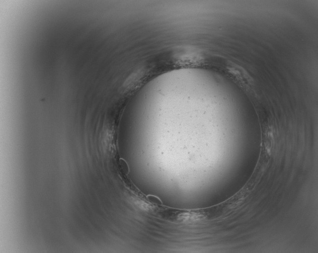 X0000061120714200511241710