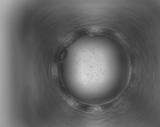 X0000061120715200511241710