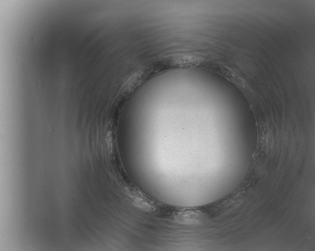 X0000061120716200511241710