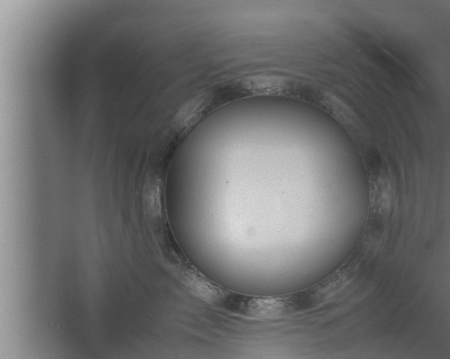 X0000061120717200511241710