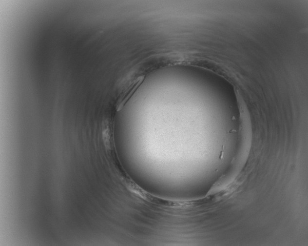 X0000061120720200511241710