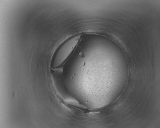 X0000061120721200511241709