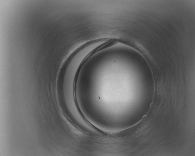 X0000061120722200511241709