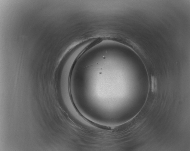 X0000061120723200511241709