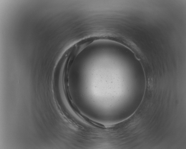 X0000061120724200511241709