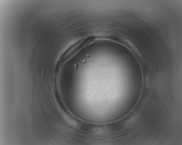 X0000061120725200511241709