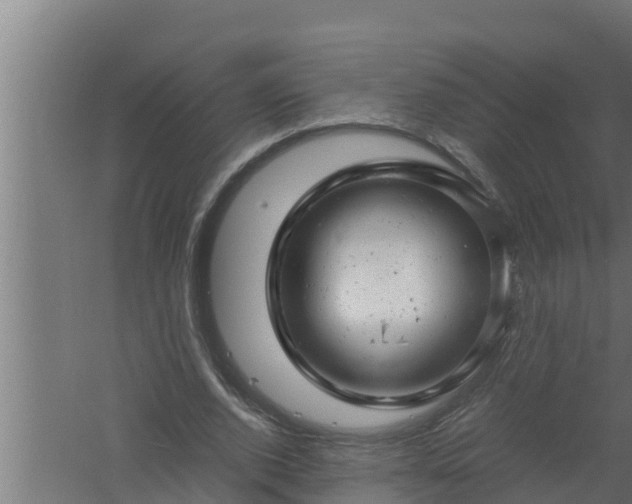 X0000061120728200511241709