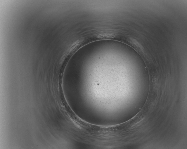 X0000061120729200511241709