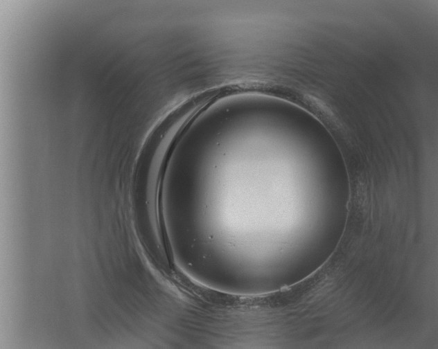 X0000061120730200511241709