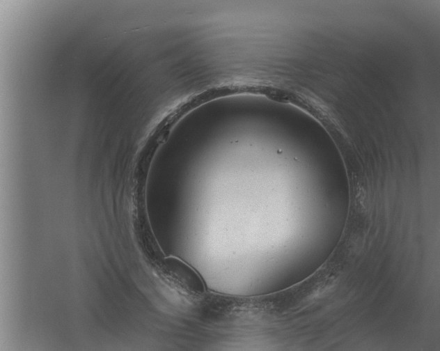 X0000061120732200511241709