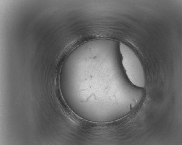 X0000061120733200511241709