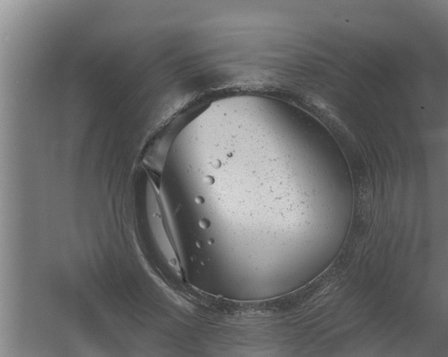 X0000061120734200511241709