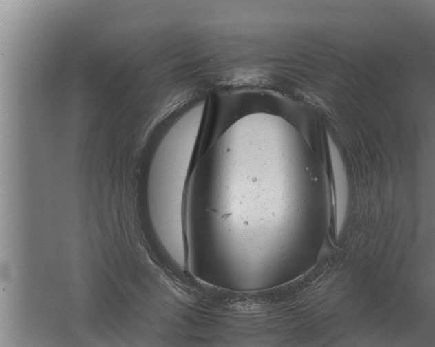 X0000061120735200511241709