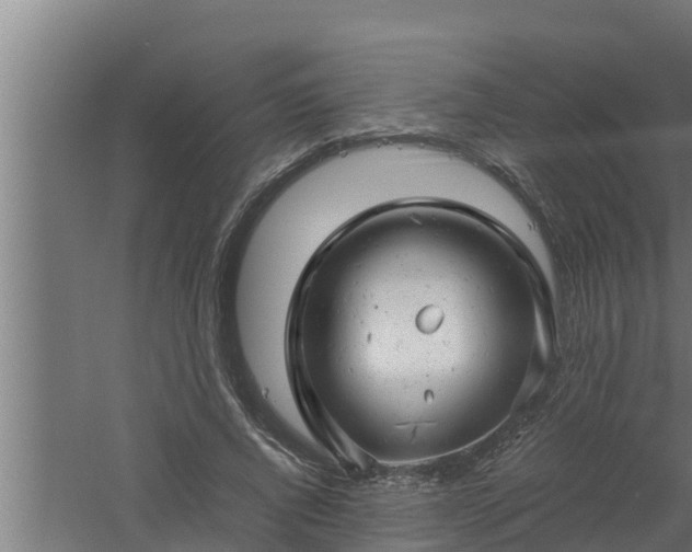 X0000061120736200511241709