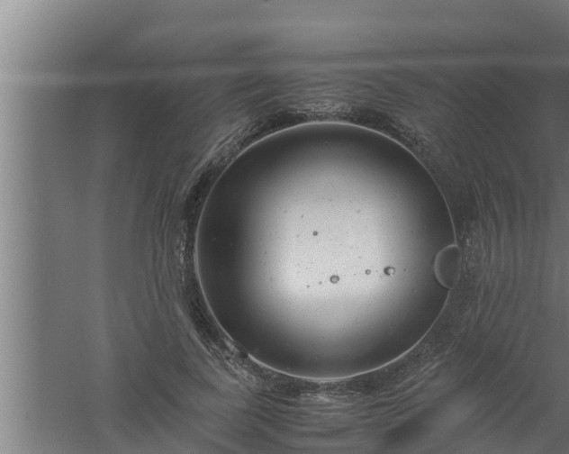 X0000061120739200511241709