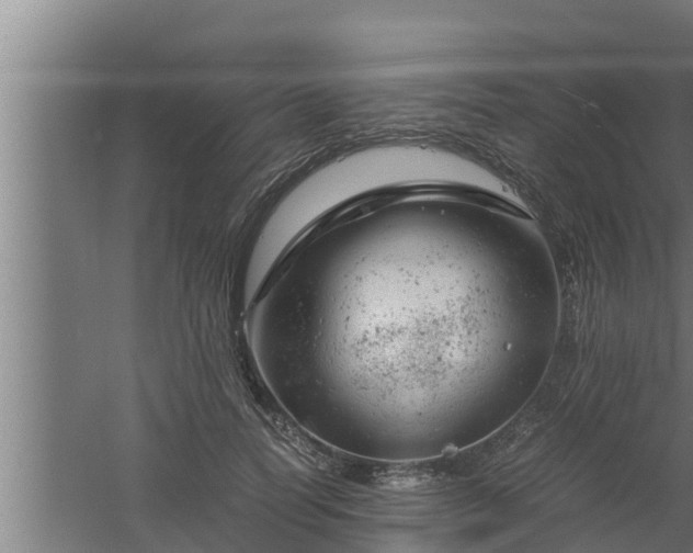 X0000061120746200511241709