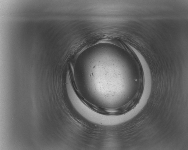 X0000061120748200511241709