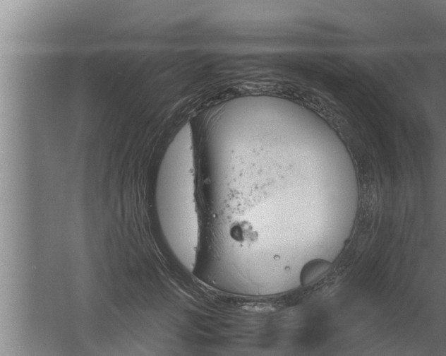 X0000061120749200511241709