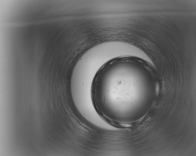 X0000061120752200511241709