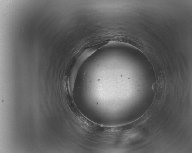 X0000061120754200511241709