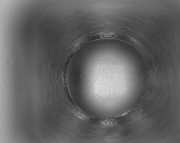 X0000061120761200511241710