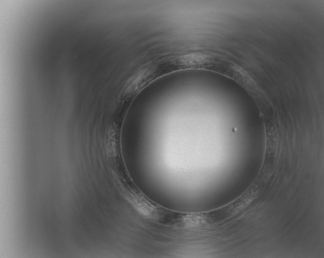 X0000061120762200511241710