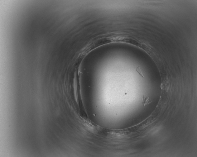 X0000061120763200511241710