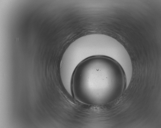 X0000061120764200511241710