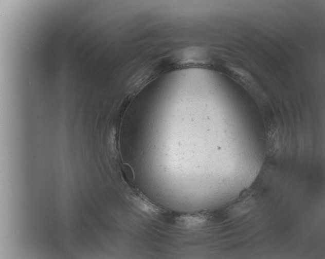 X0000061120765200511241710