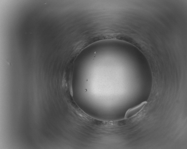 X0000061120768200511241710