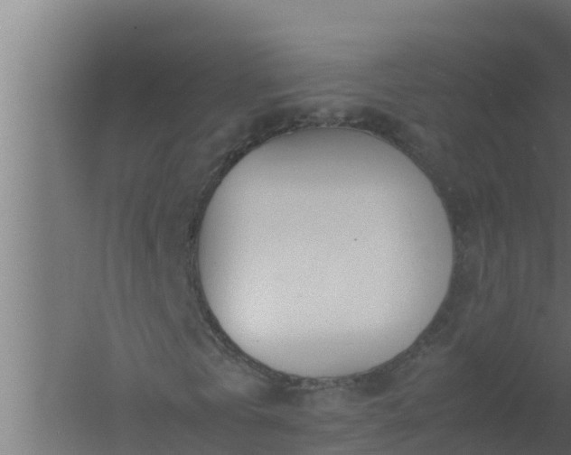 X0000061120769200511241709