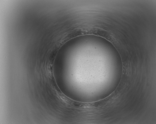 X0000061120770200511241709