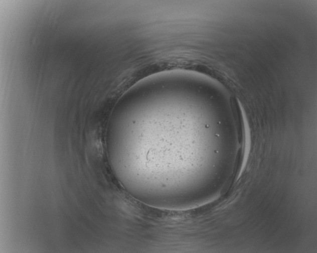 X0000061120771200511241709