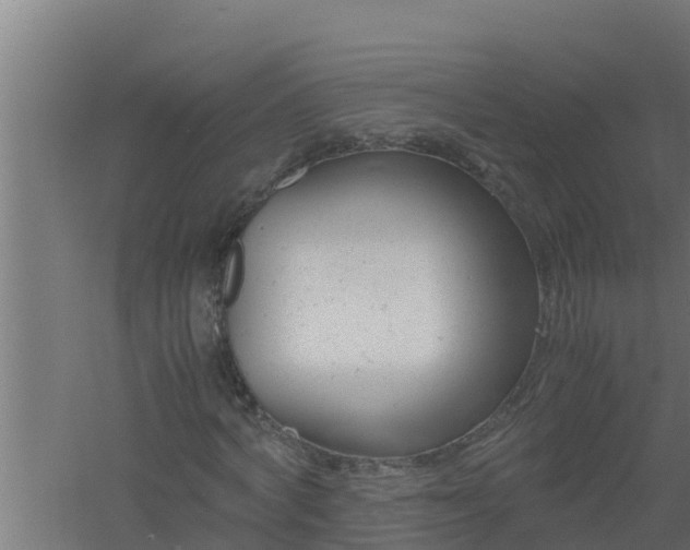 X0000061120772200511241709