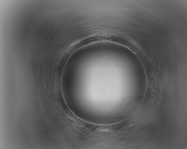 X0000061120773200511241709