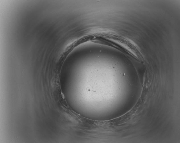 X0000061120775200511241709