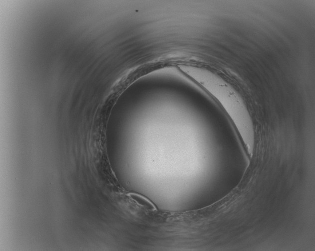 X0000061120776200511241709